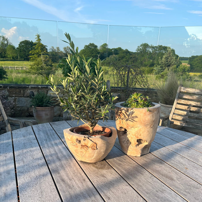 Garden Decoration