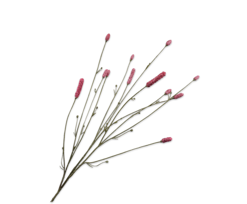 Sanguisorba Spray Pink