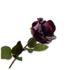Purple artificial rose with green leaves on a white background