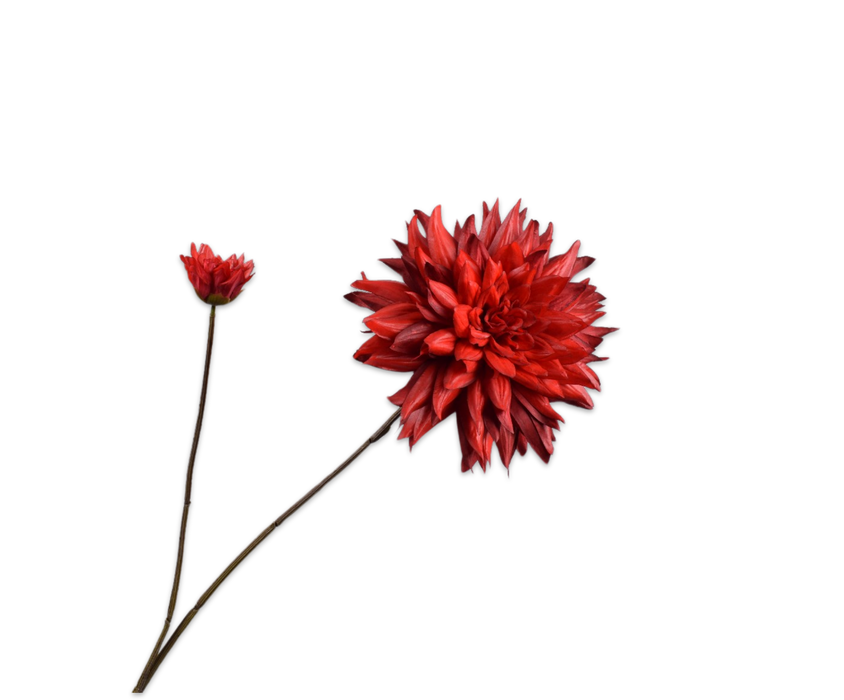 Dahlia Spray Red