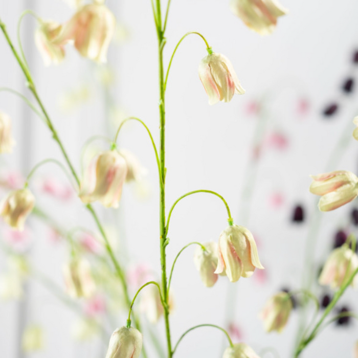 Delicate white flowers on a blurred background