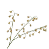 Faux fritillaria flowers on a white background