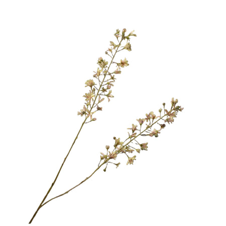 Hyacinth stem with small flowers on a white background