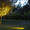 Solar spotlight at dusk on garden lawn shining on a tree