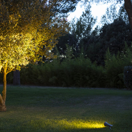 Solar spotlight at dusk on garden lawn shining on a tree
