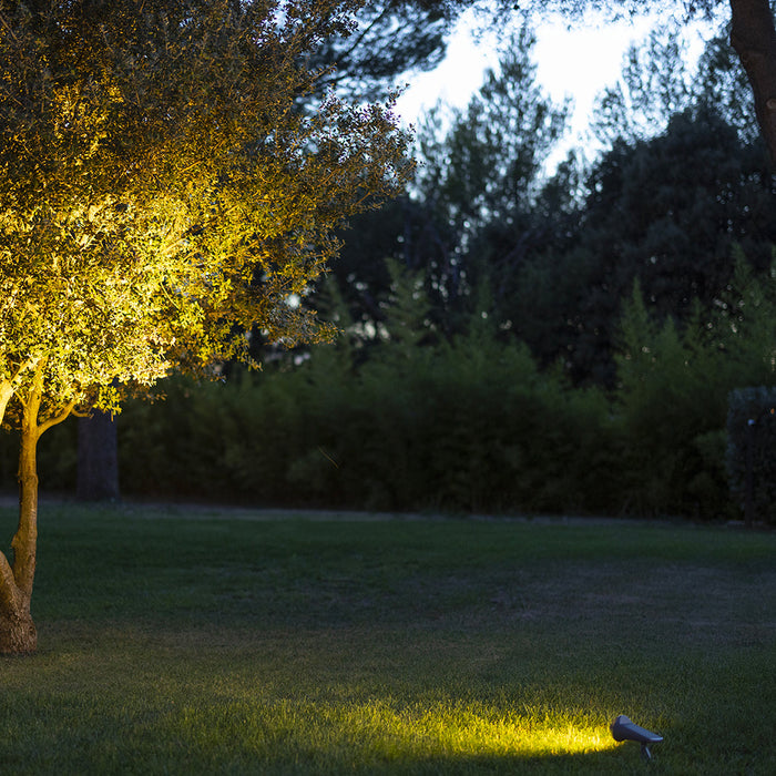 Solar spotlight at dusk on garden lawn shining on a tree