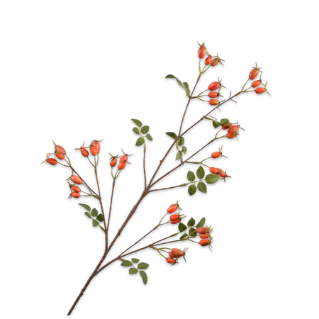 Artificial rosehips with elongated orange berries on a stem, against a black background.