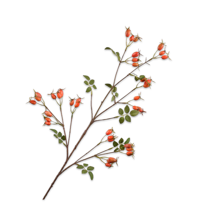 Artificial rosehips with elongated orange berries on a stem, against a black background.