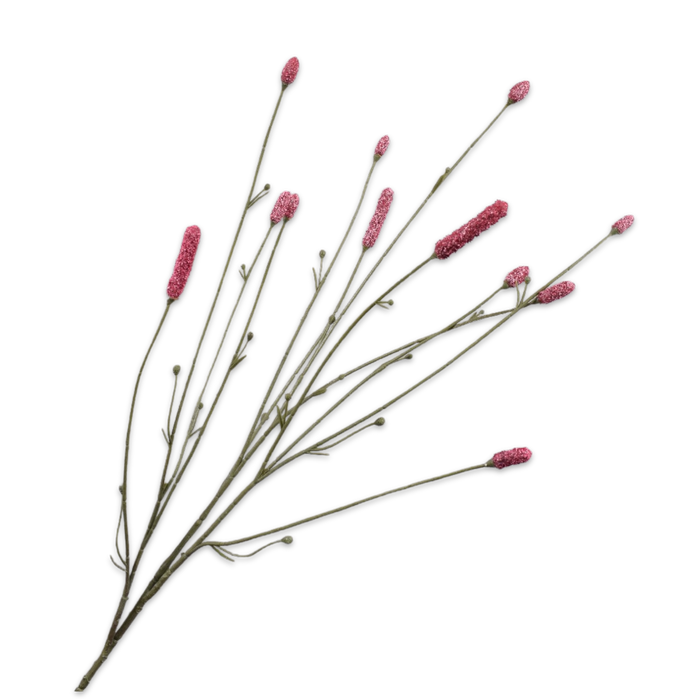 A spray of pink flowers from the Sanguisorba plant on a dark background.