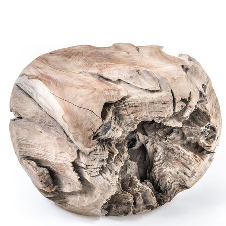 Solid teak rootball coffee table with natural grooves and indentations on a white background