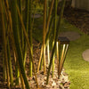 Garden pathway with bamboo and a solar torch light fixture at night