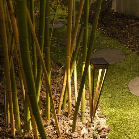 Garden pathway with bamboo and a solar torch light fixture at night